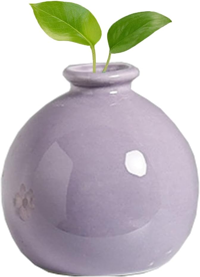 Luxury Modern Small Bud Vases Mini Ceramic Flower Vases/Desktop Art Vase Plant Pot/Micro Landscape Vases for Office Home Living Decor #1