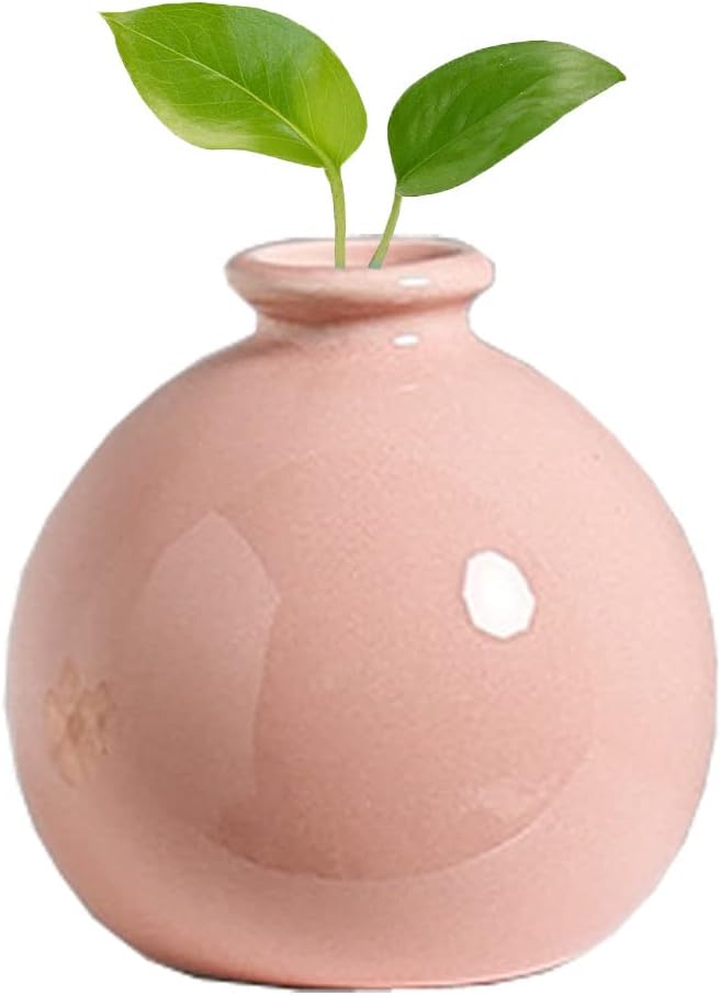 Luxury Modern Small Bud Vases Mini Ceramic Flower Vases/Desktop Art Vase Plant Pot/Micro Landscape Vases for Office Home Living Decor #1