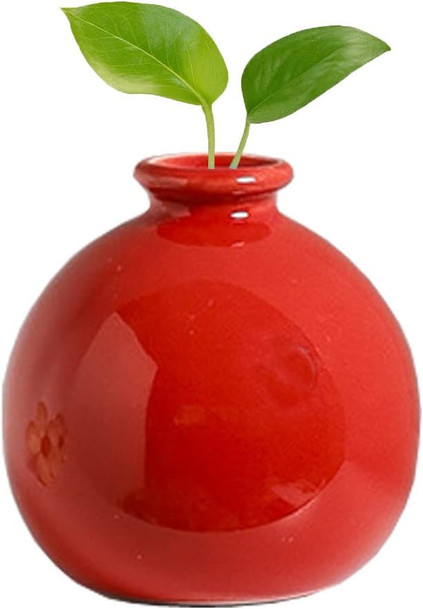 Luxury Modern Small Bud Vases Mini Ceramic Flower Vases/Desktop Art Vase Plant Pot/Micro Landscape Vases for Office Home Living Decor #1