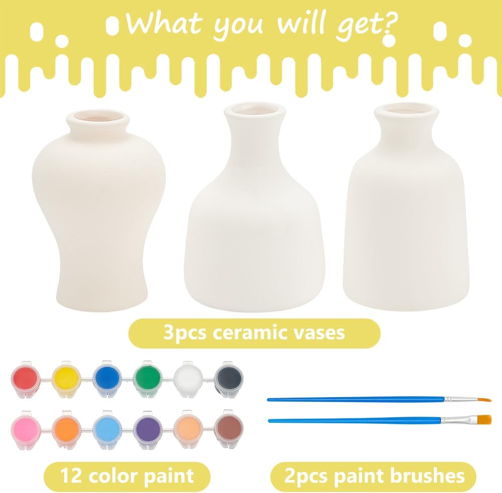 WEBEEDY 3 Styles Vase Pottery Painting Kit Paint Your Own Ceramic Pottery Unpainted Ceramic Flower Pots DIY Arts and Crafts Kit for Beginners Classroom Craft Project Fun Home Acticity