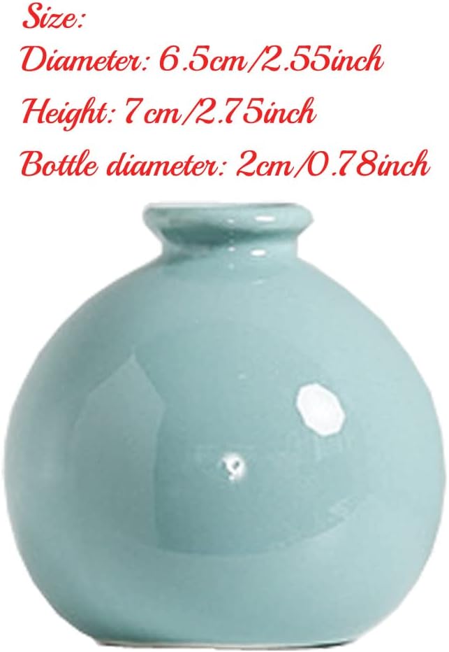 Luxury Modern Small Bud Vases Mini Ceramic Flower Vases/Desktop Art Vase Plant Pot/Micro Landscape Vases for Office Home Living Decor #1